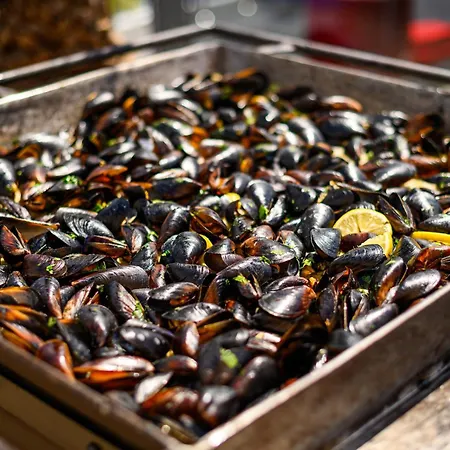 Szálloda Bulevard 4*